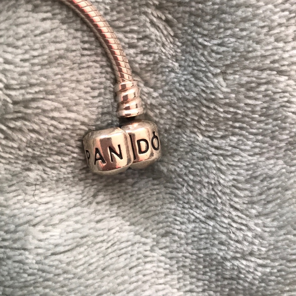 Pandora Memory Snake Bracelet